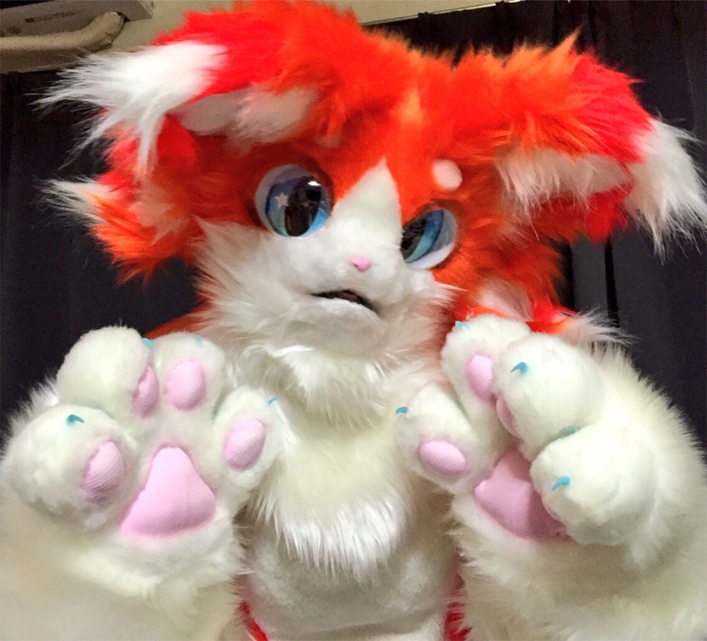 f:id:chisarakonbu:20160910184416j:image f:id:chisarakonbu:20160910184416j:image