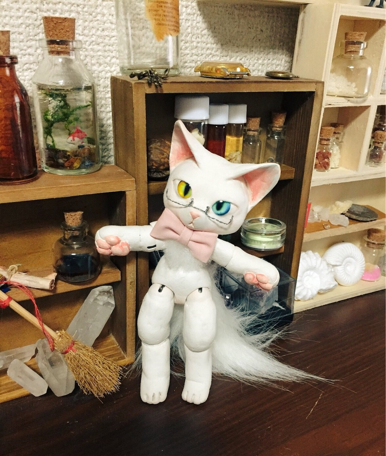f:id:chisarakonbu:20171125201333j:image f:id:chisarakonbu:20171125201333j:image