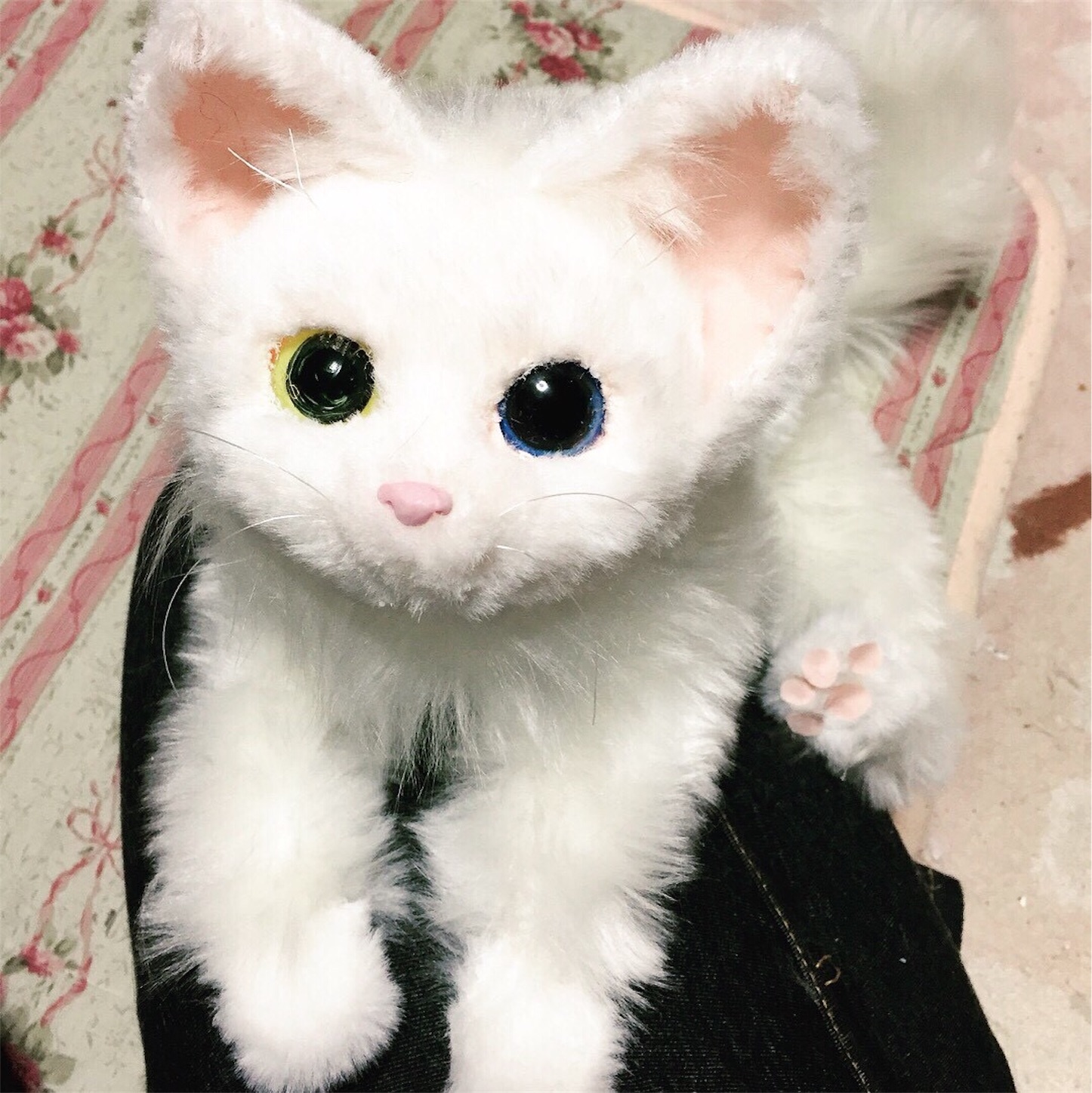 f:id:chisarakonbu:20171125205600j:image