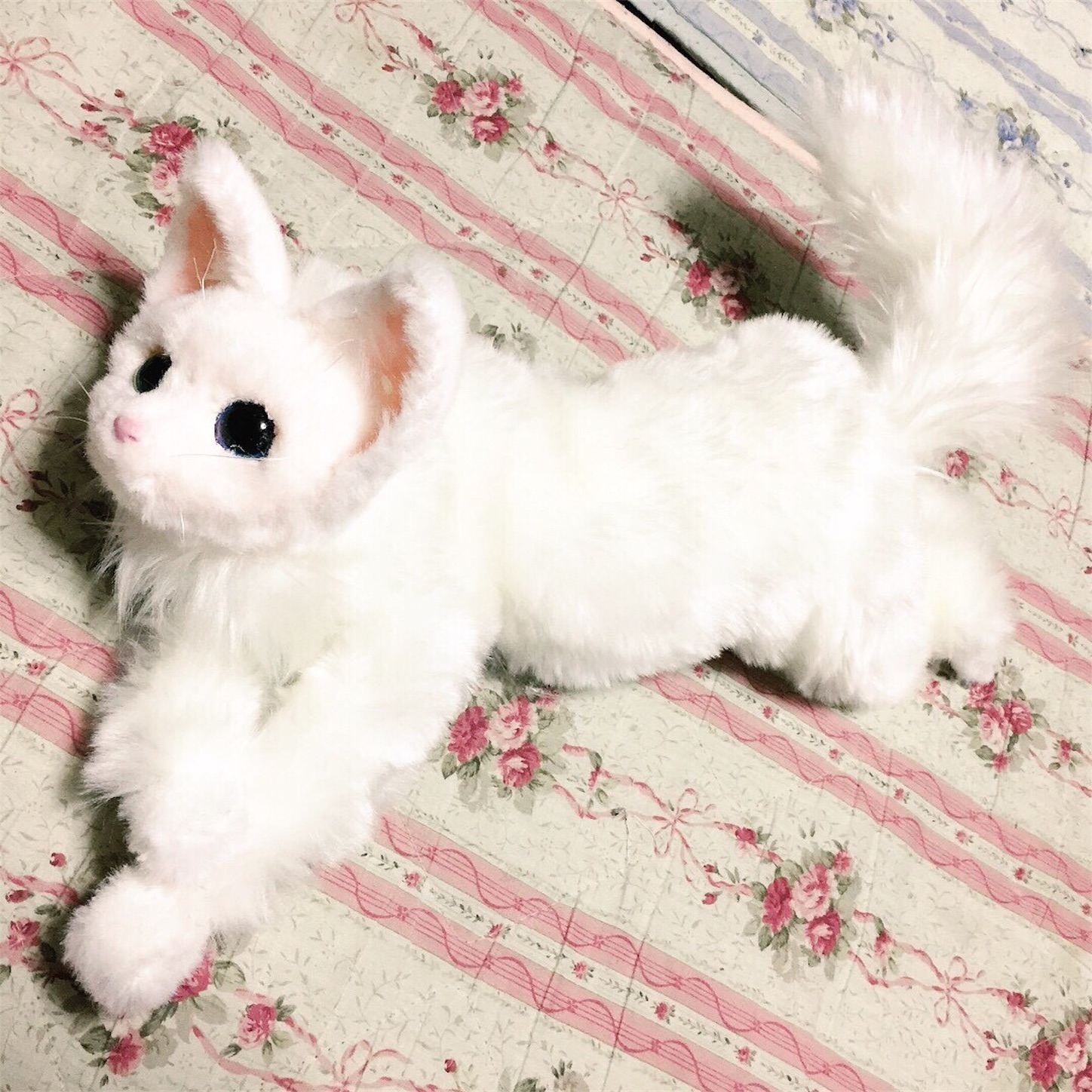 f:id:chisarakonbu:20171125205819j:image