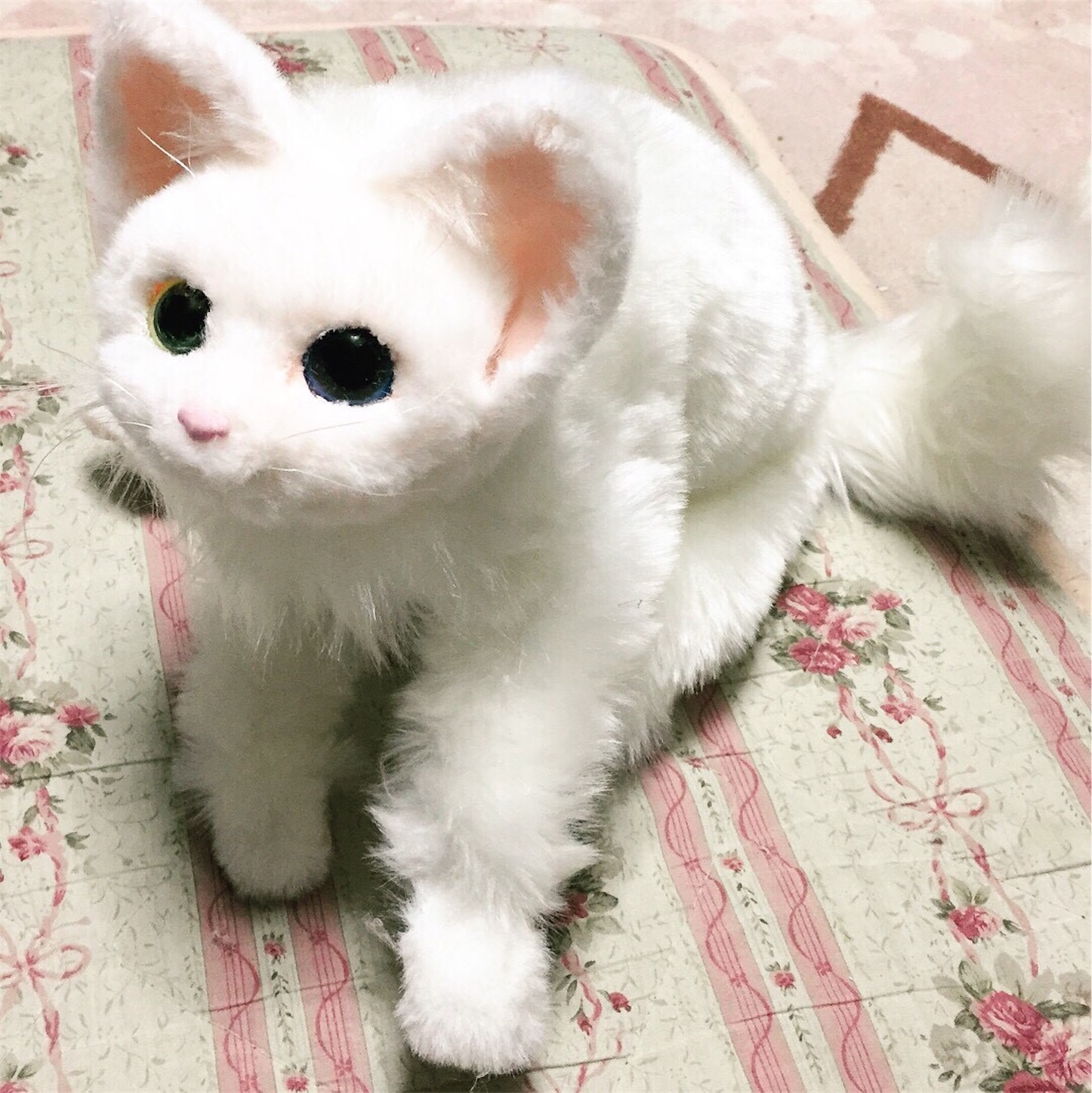 f:id:chisarakonbu:20171125205854j:image