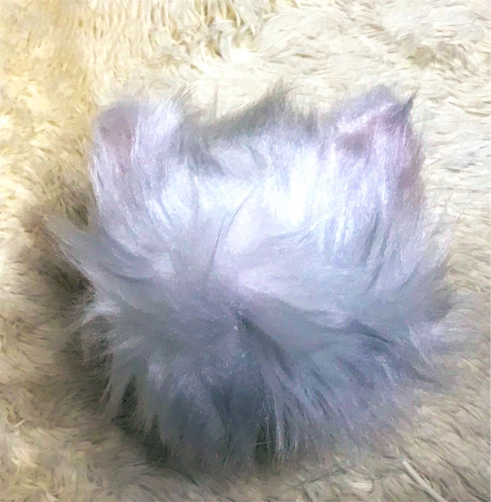 f:id:chisarakonbu:20190204155043j:image
