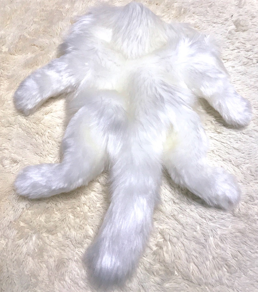 f:id:chisarakonbu:20190204155323j:image