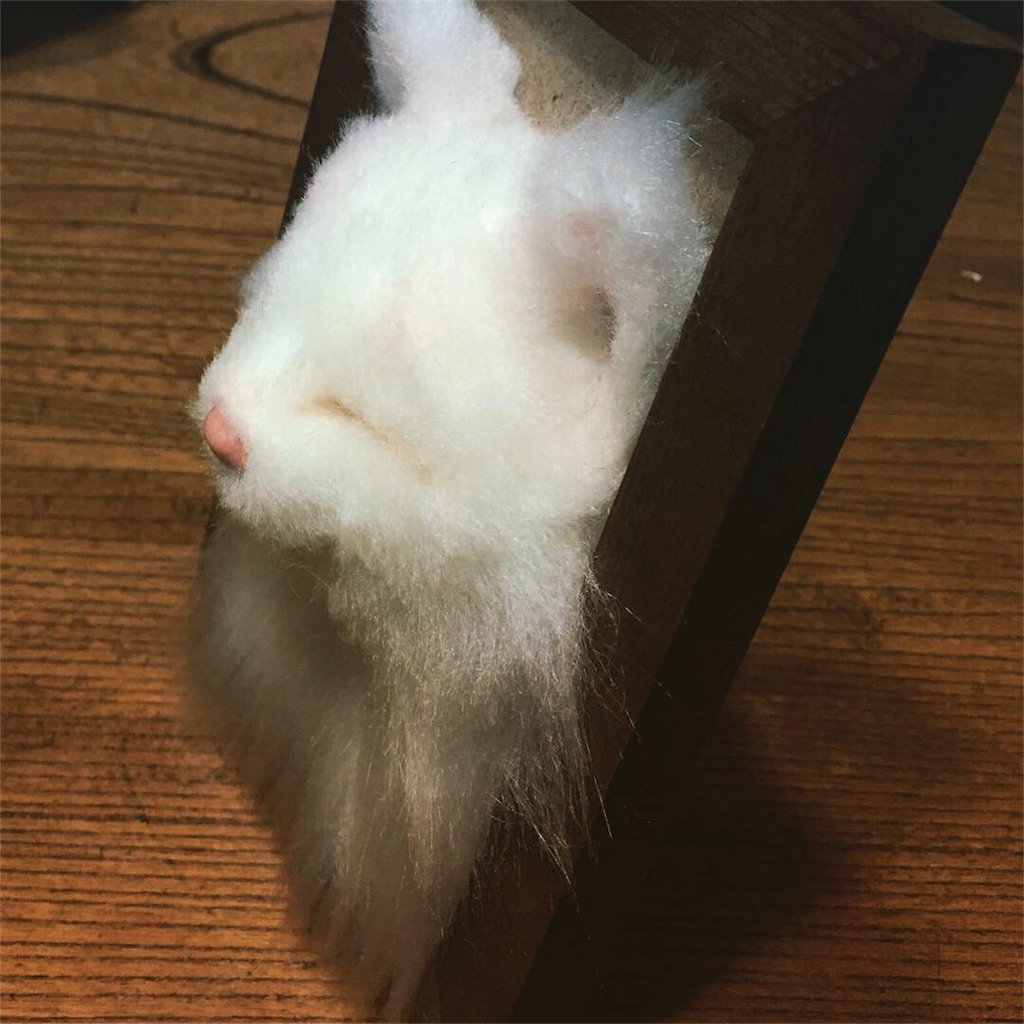 f:id:chisarakonbu:20190312165715j:image
