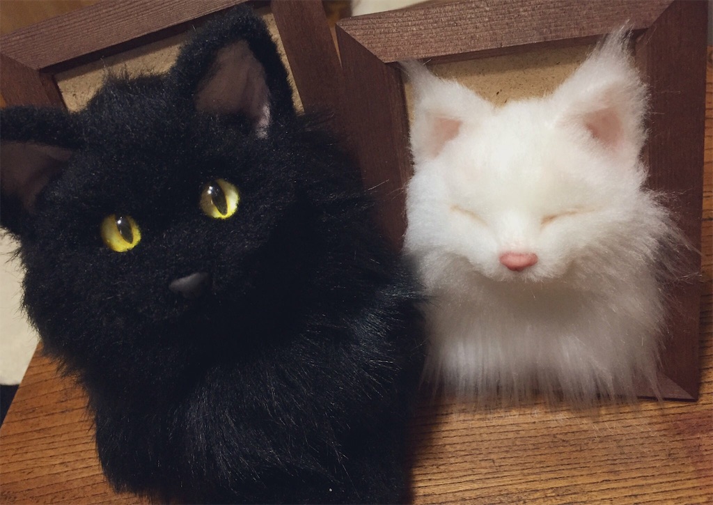 f:id:chisarakonbu:20190312165751j:image