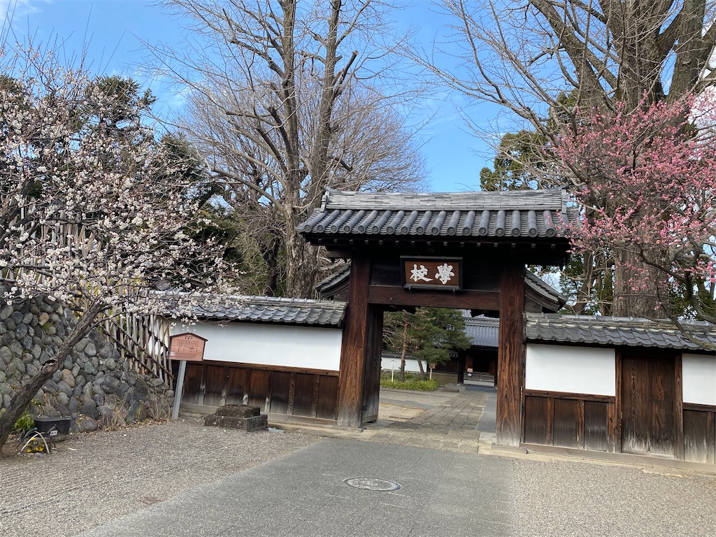 f:id:chisarakonbu:20220306191500j:image