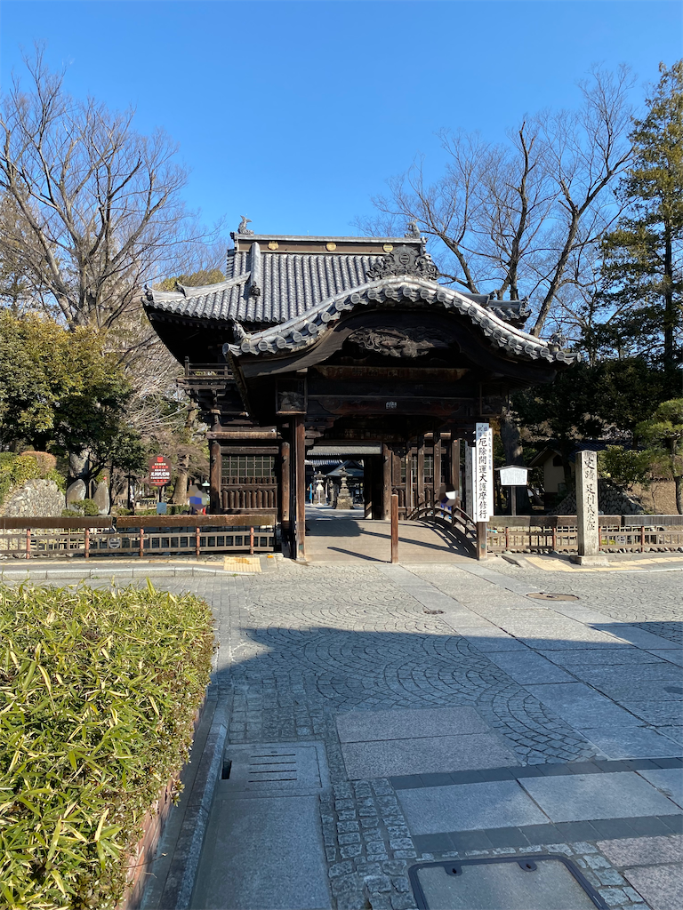 f:id:chisarakonbu:20220306220201p:image