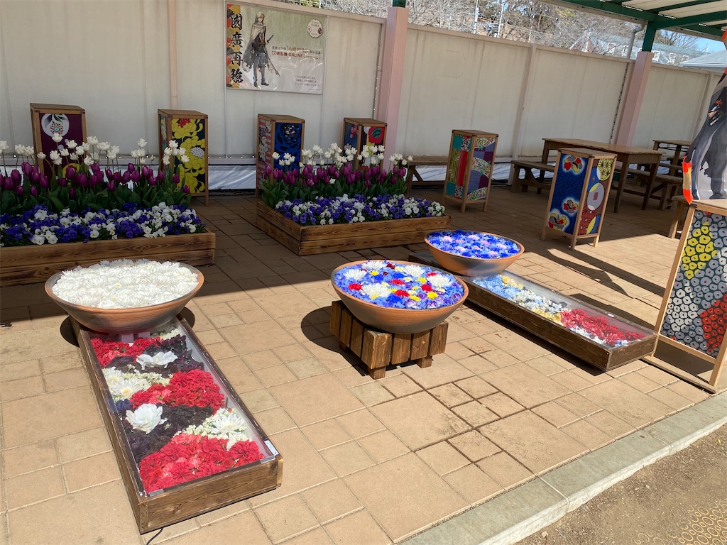 f:id:chisarakonbu:20220306220319j:image