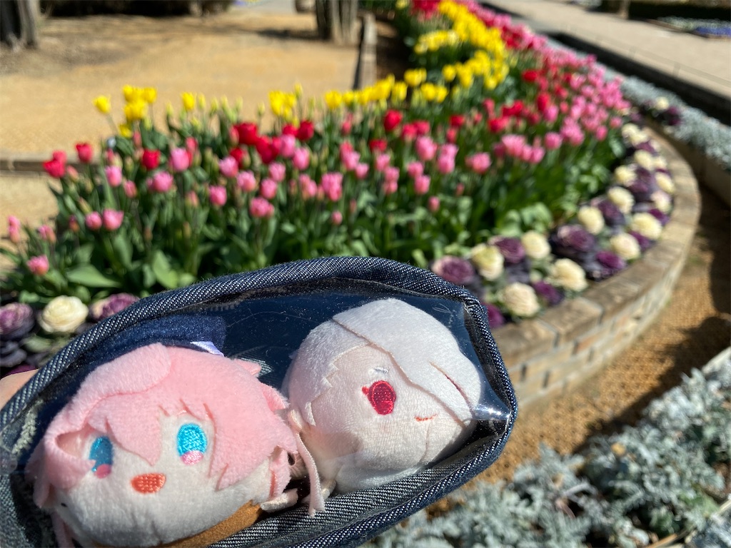 f:id:chisarakonbu:20220306220450j:image
