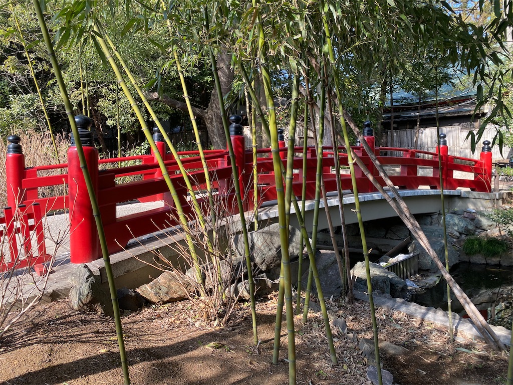 f:id:chisarakonbu:20220306224010j:image