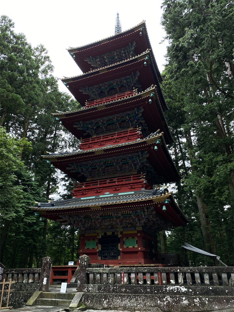 f:id:chisarakonbu:20220904081924j:image