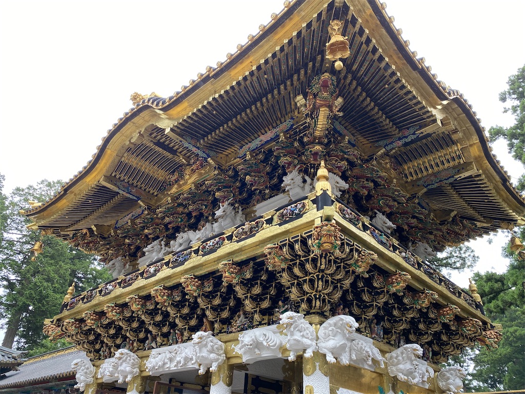 f:id:chisarakonbu:20220904081941j:image