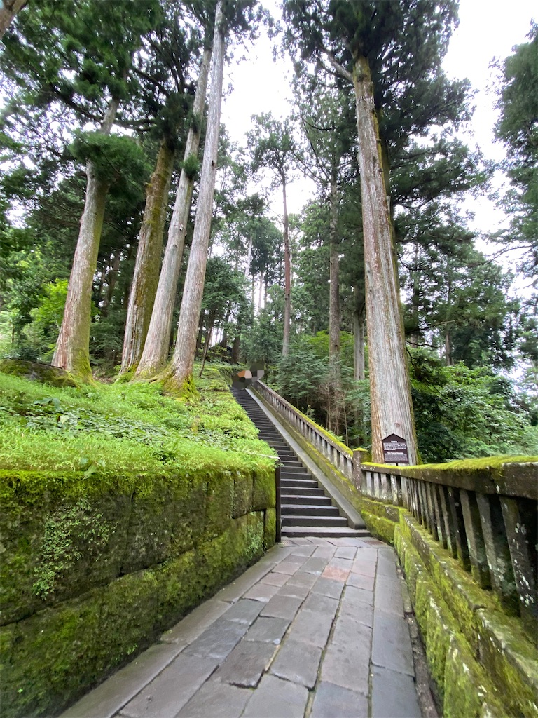 f:id:chisarakonbu:20220904215013j:image