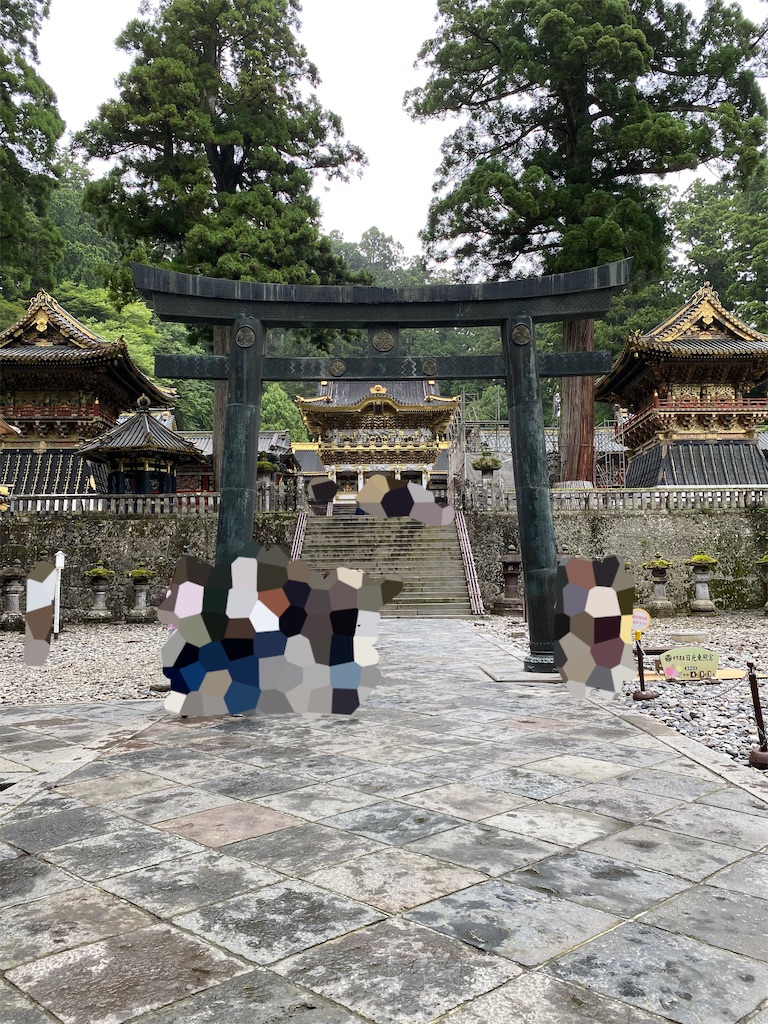 f:id:chisarakonbu:20220904220402j:image