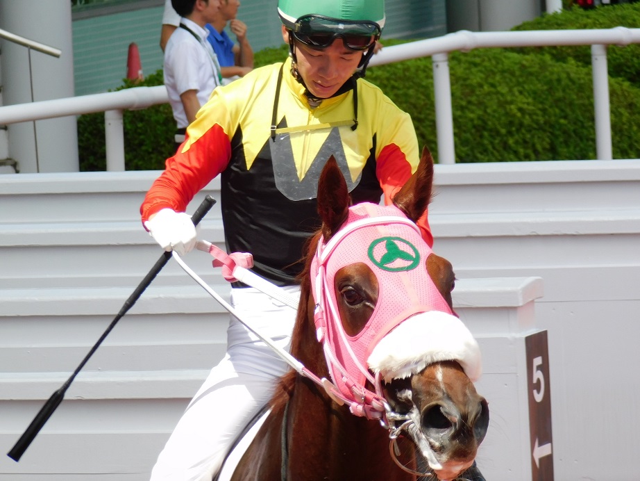 f:id:chisounin:20190907103301j:plain f:id:chisounin:20190907103301j:plain