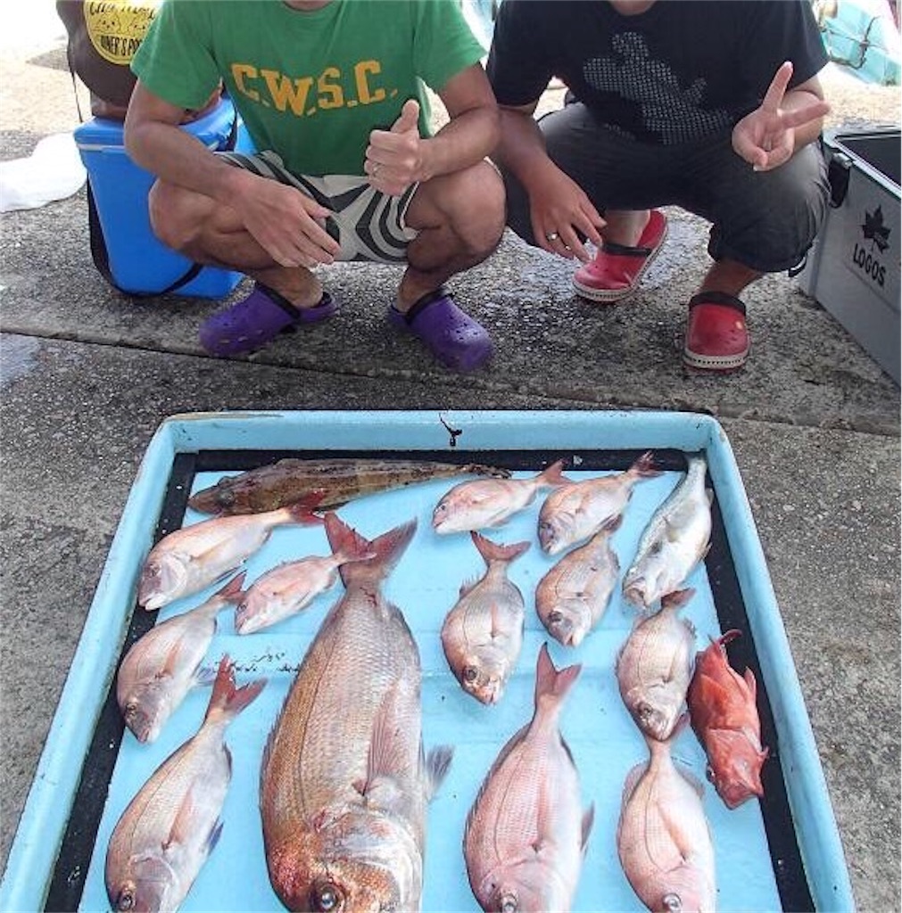 f:id:chitahuman:20170704220610j:image