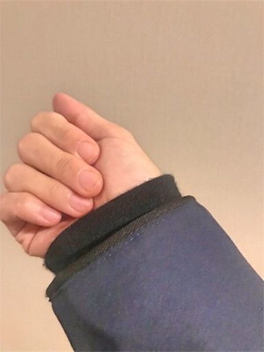 f:id:chitose11:20190116182425j:image