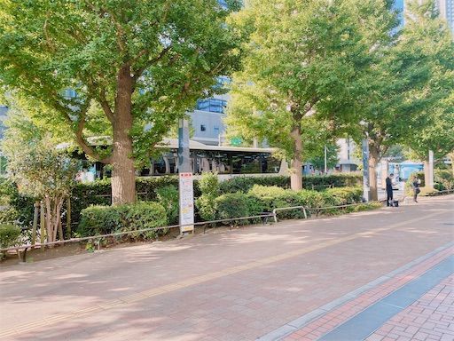 f:id:chitose11:20201007074410j:image f:id:chitose11:20201007074410j:image