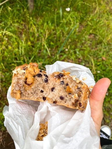 f:id:chitose11:20210529105734j:image f:id:chitose11:20210529105734j:image