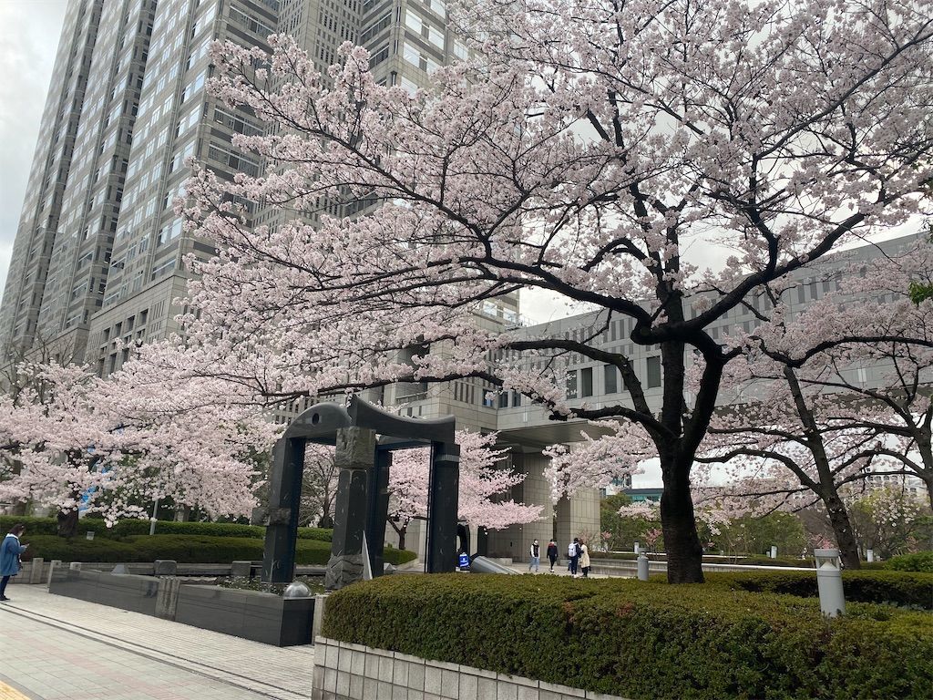 f:id:chitose11:20220331170555j:image f:id:chitose11:20220331170555j:image