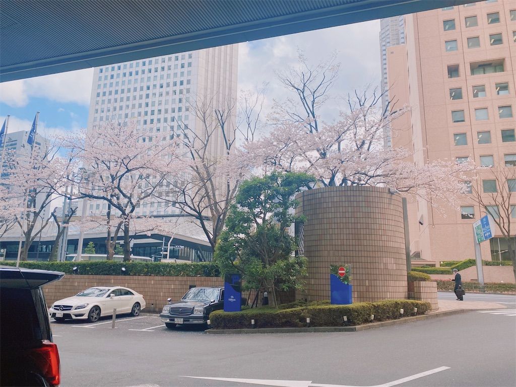 f:id:chitose11:20220331170606j:image f:id:chitose11:20220331170606j:image