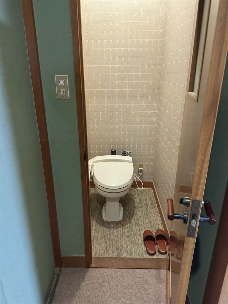 f:id:chitose11:20240630222327j:image