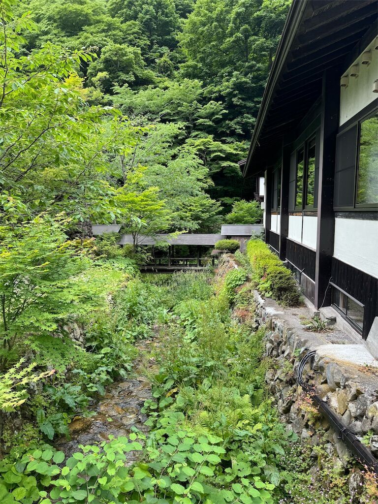 f:id:chitose11:20241119100426j:image