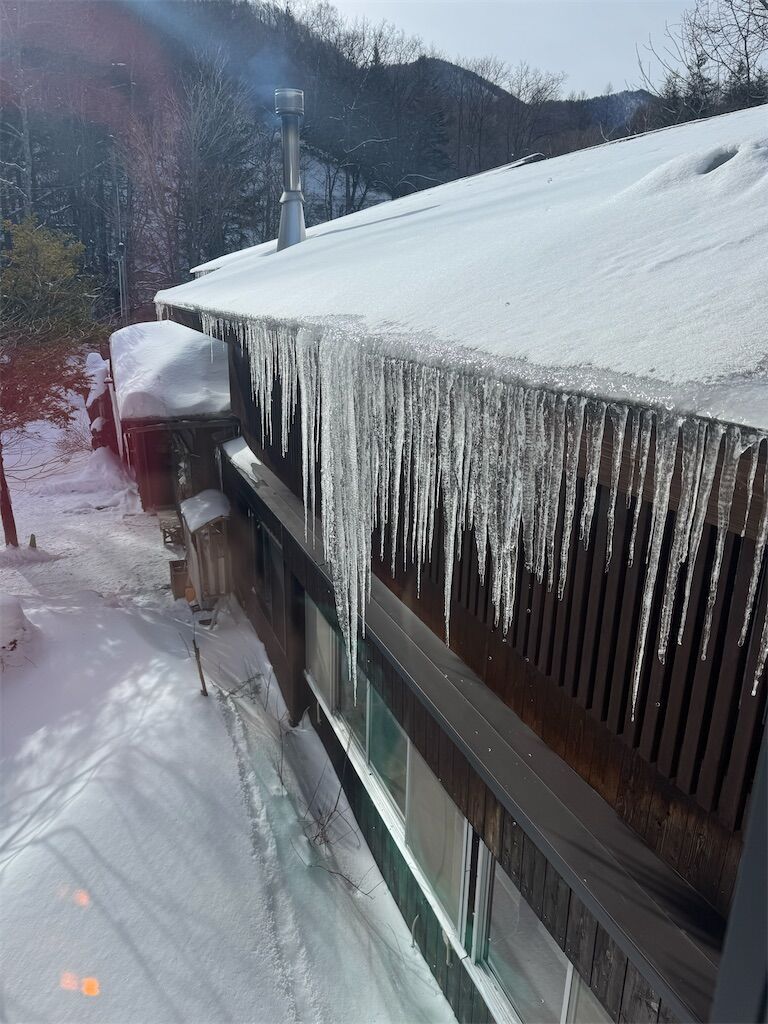 f:id:chitose11:20250123073318j:image f:id:chitose11:20250123073318j:image
