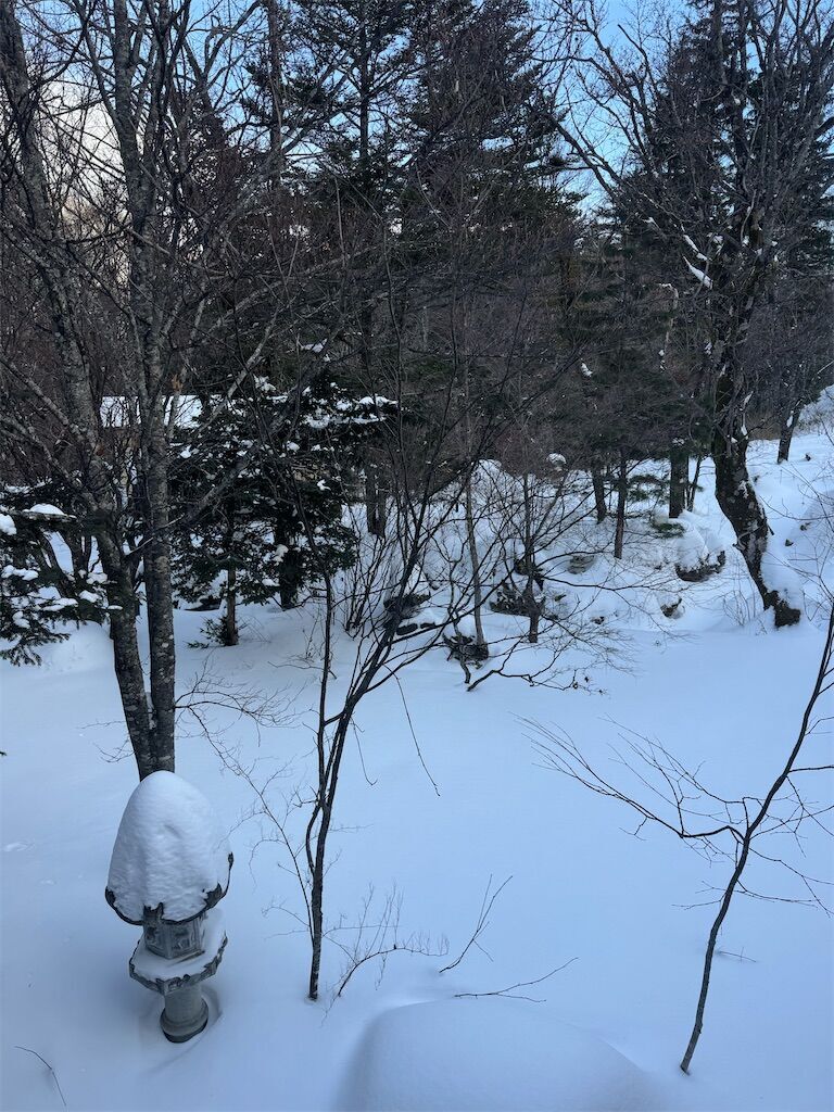 f:id:chitose11:20250123073325j:image f:id:chitose11:20250123073325j:image
