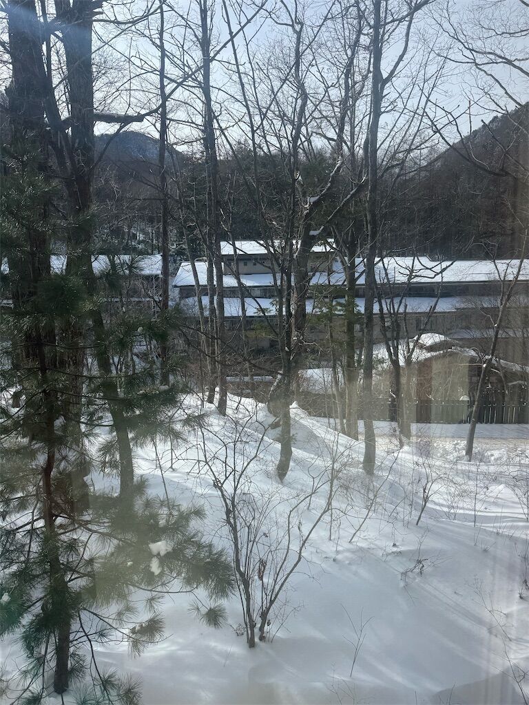 f:id:chitose11:20250123073329j:image
