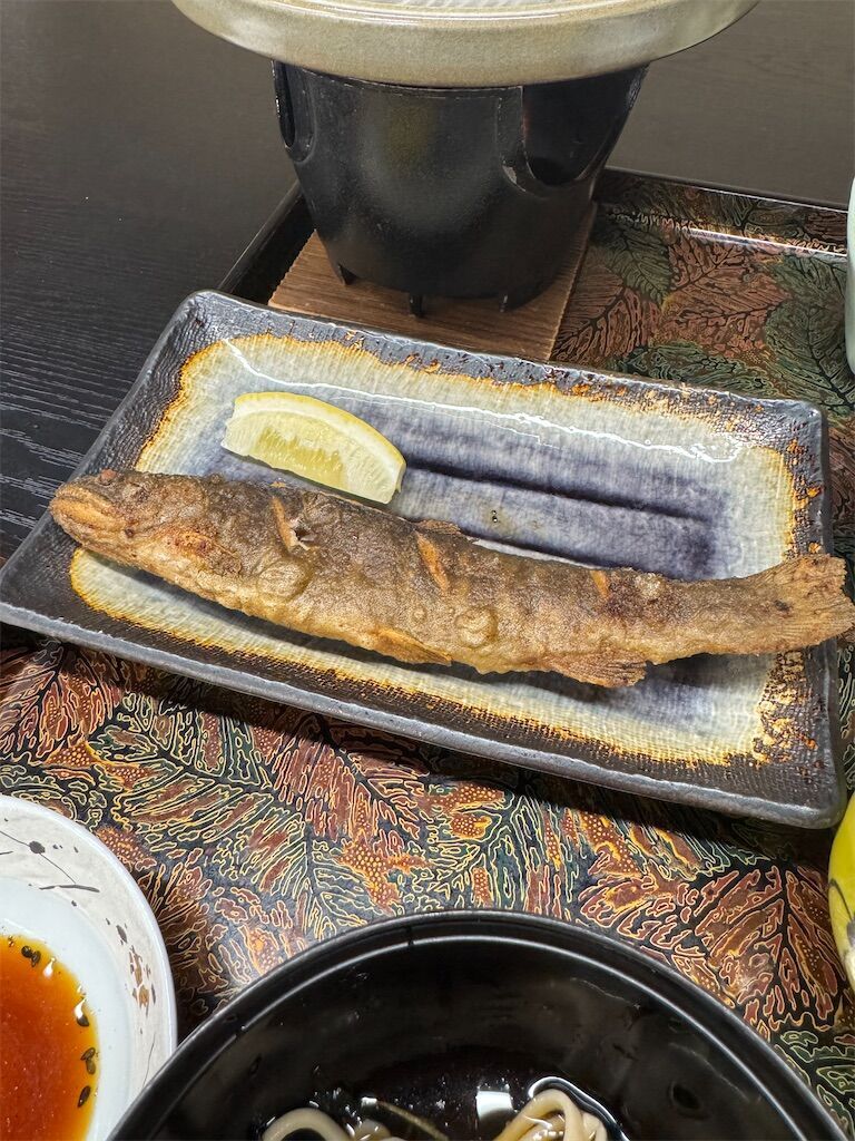 f:id:chitose11:20250127102325j:image