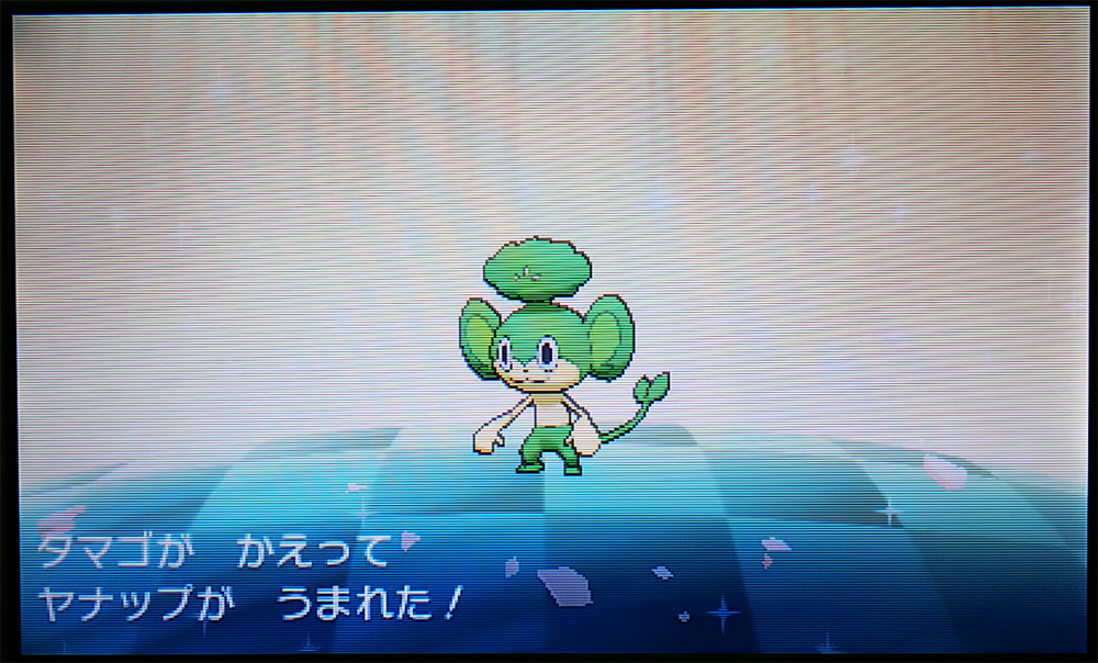 アローラ出身色違いヤナップが生まれました ちとせの色巡り