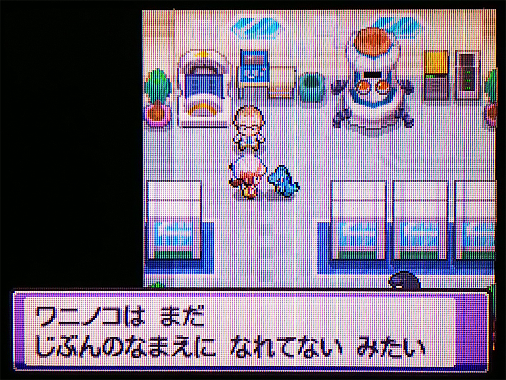 ワニノコ Ssリセット ちとせの色巡り ワニノコ Ssリセット ちとせの色巡り