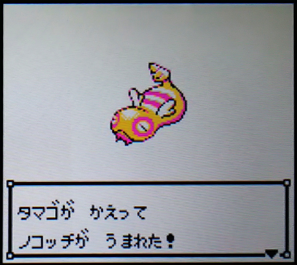 2021年12月に出会った色違い - ちとせの色巡り