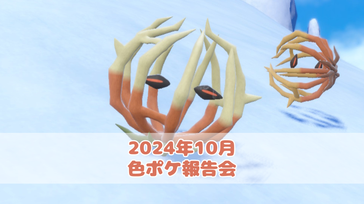2024年10月 色ポケ報告会 - ちとせの色巡り
