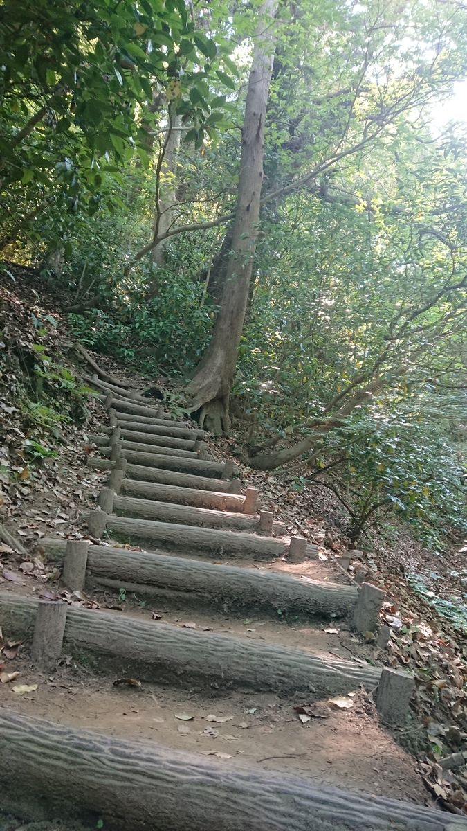 f:id:chitoseclimb:20190511234032j:plain