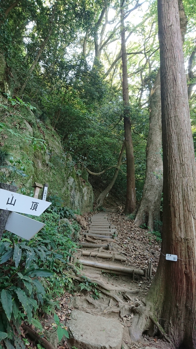 f:id:chitoseclimb:20190512092144j:plain