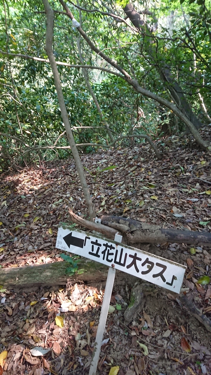 f:id:chitoseclimb:20190512100122j:plain