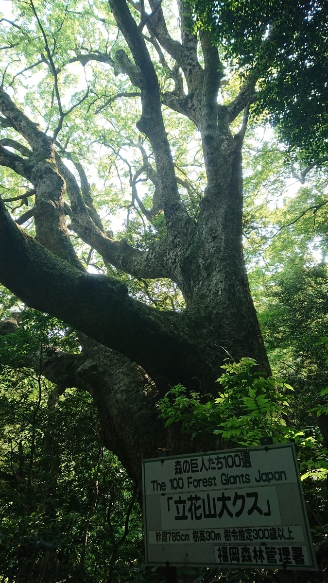 f:id:chitoseclimb:20190512100430j:plain