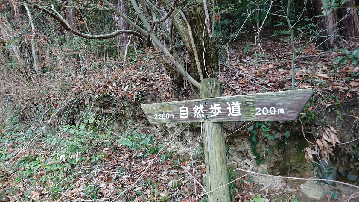 f:id:chitoseclimb:20200301125308j:plain