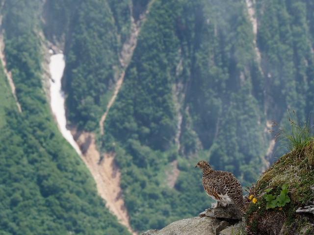 f:id:chitoseclimb:20200510111025j:image