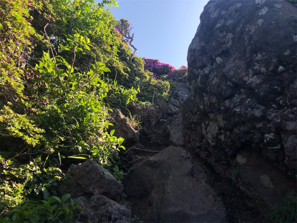 f:id:chitoseclimb:20200614133950j:image