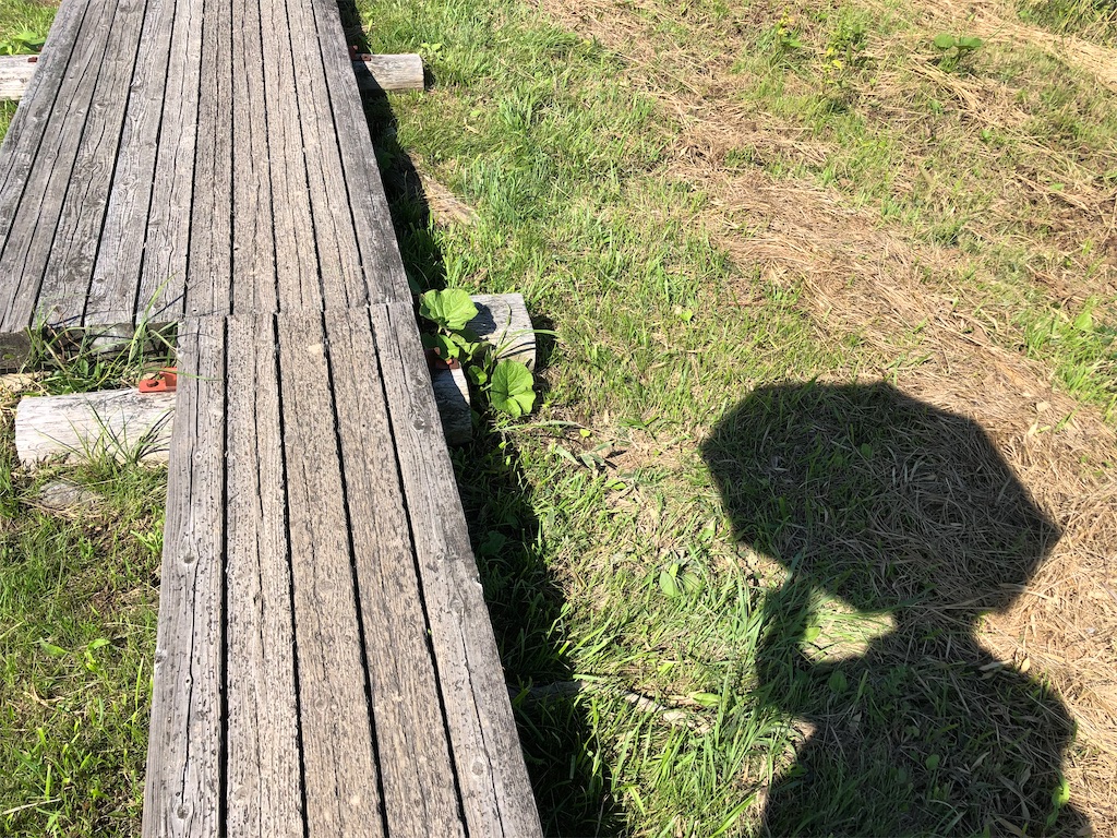 f:id:chitoseclimb:20200830185847j:image f:id:chitoseclimb:20200830185847j:image