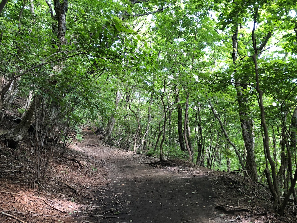 f:id:chitoseclimb:20200830185917j:image f:id:chitoseclimb:20200830185917j:image