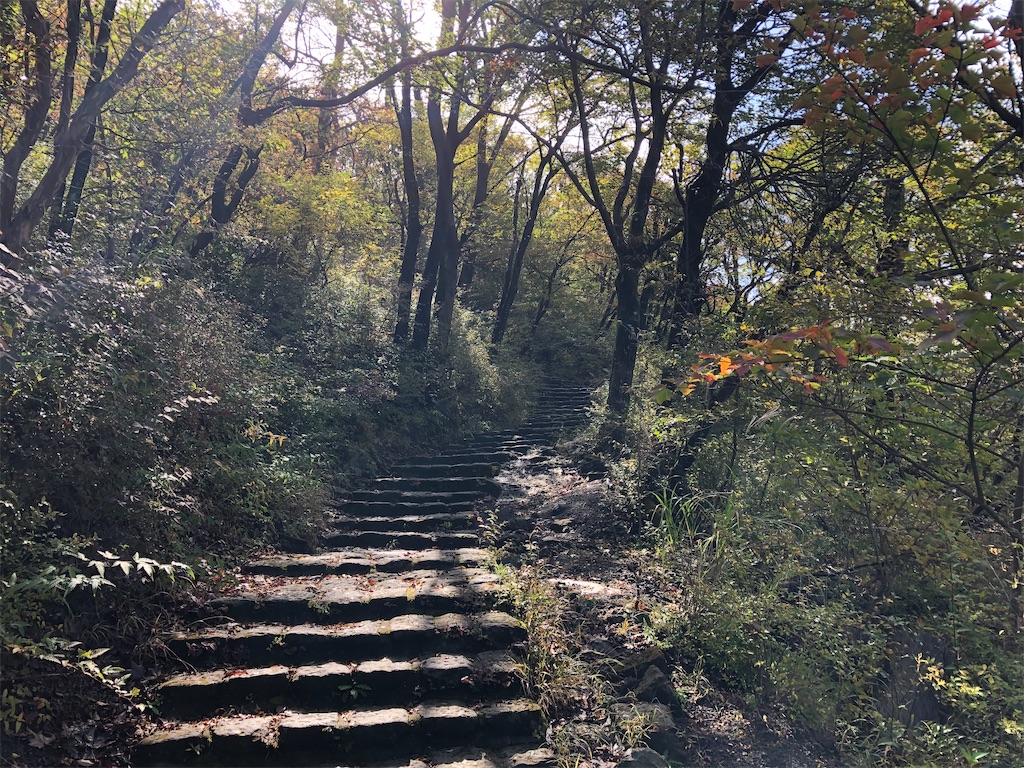 f:id:chitoseclimb:20201025192902j:image f:id:chitoseclimb:20201025192902j:image