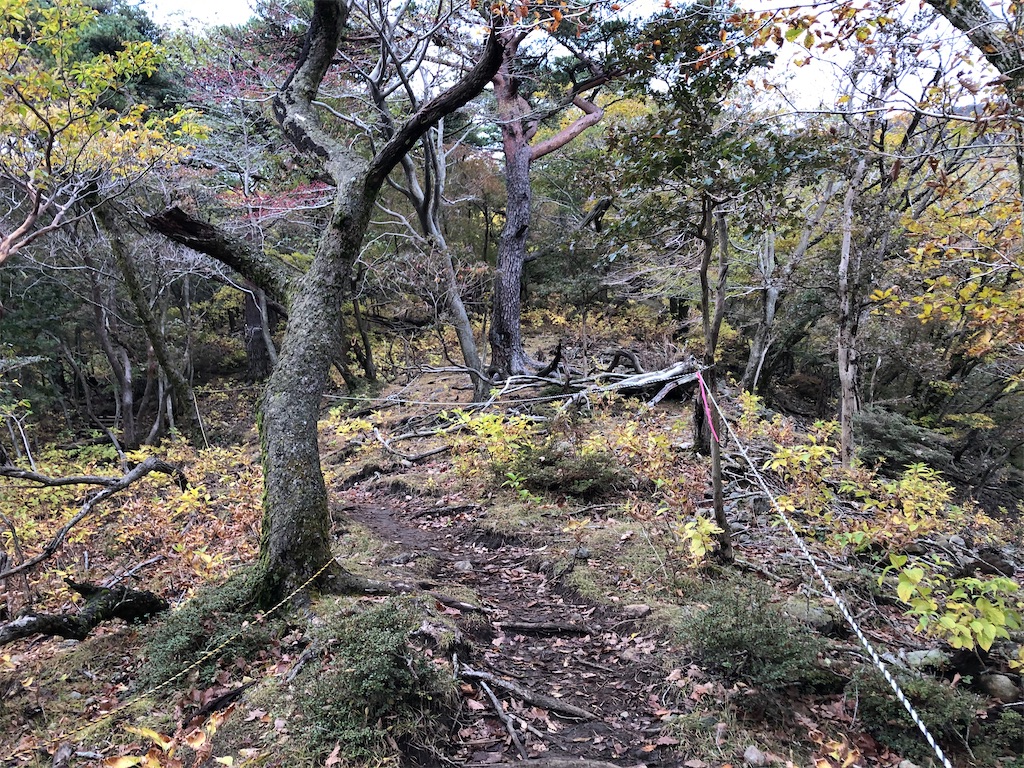 f:id:chitoseclimb:20201027200610j:image