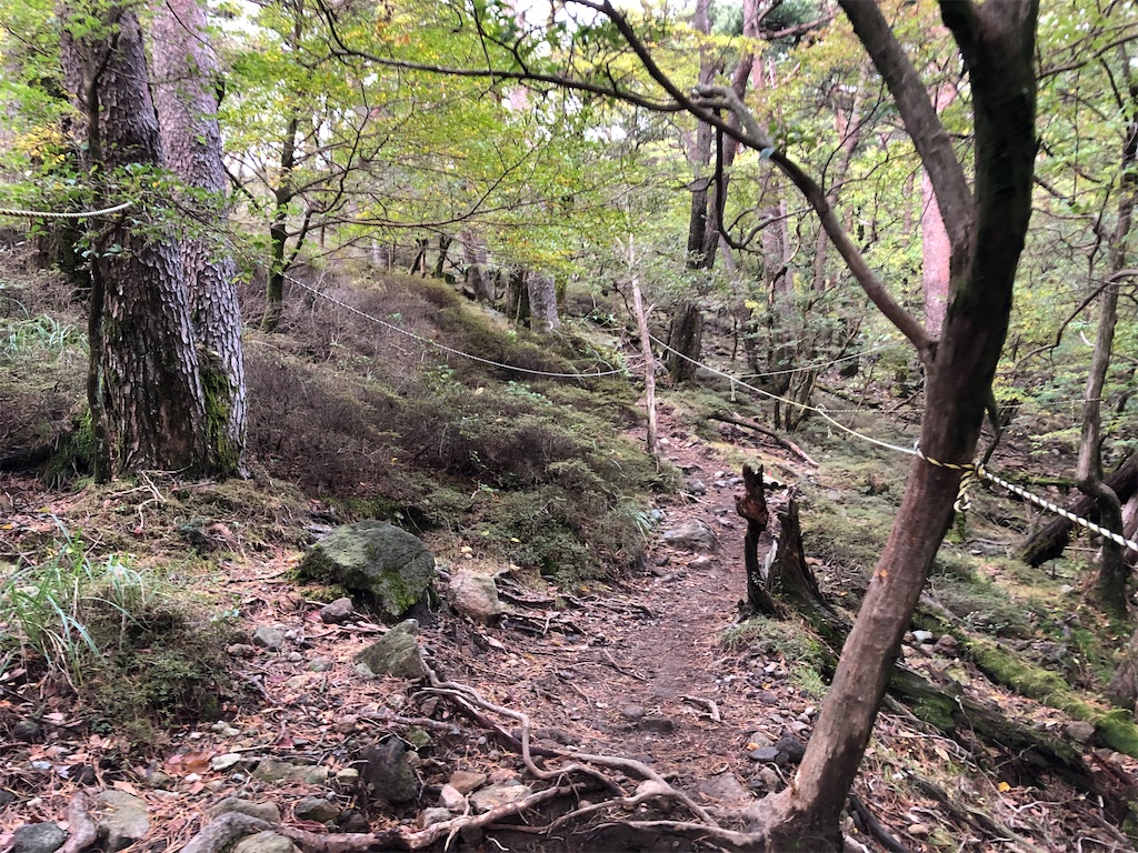 f:id:chitoseclimb:20201027200622j:image