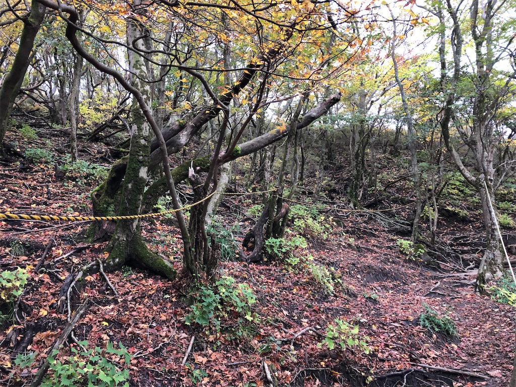 f:id:chitoseclimb:20201027200711j:image