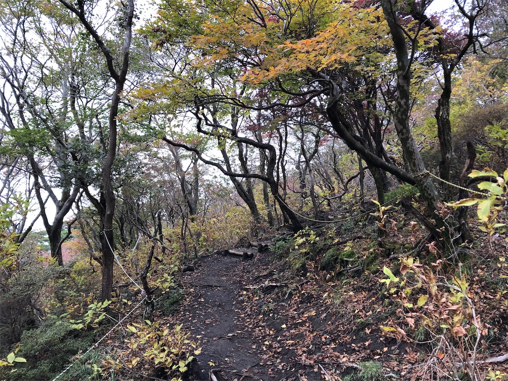 f:id:chitoseclimb:20201027200718j:image