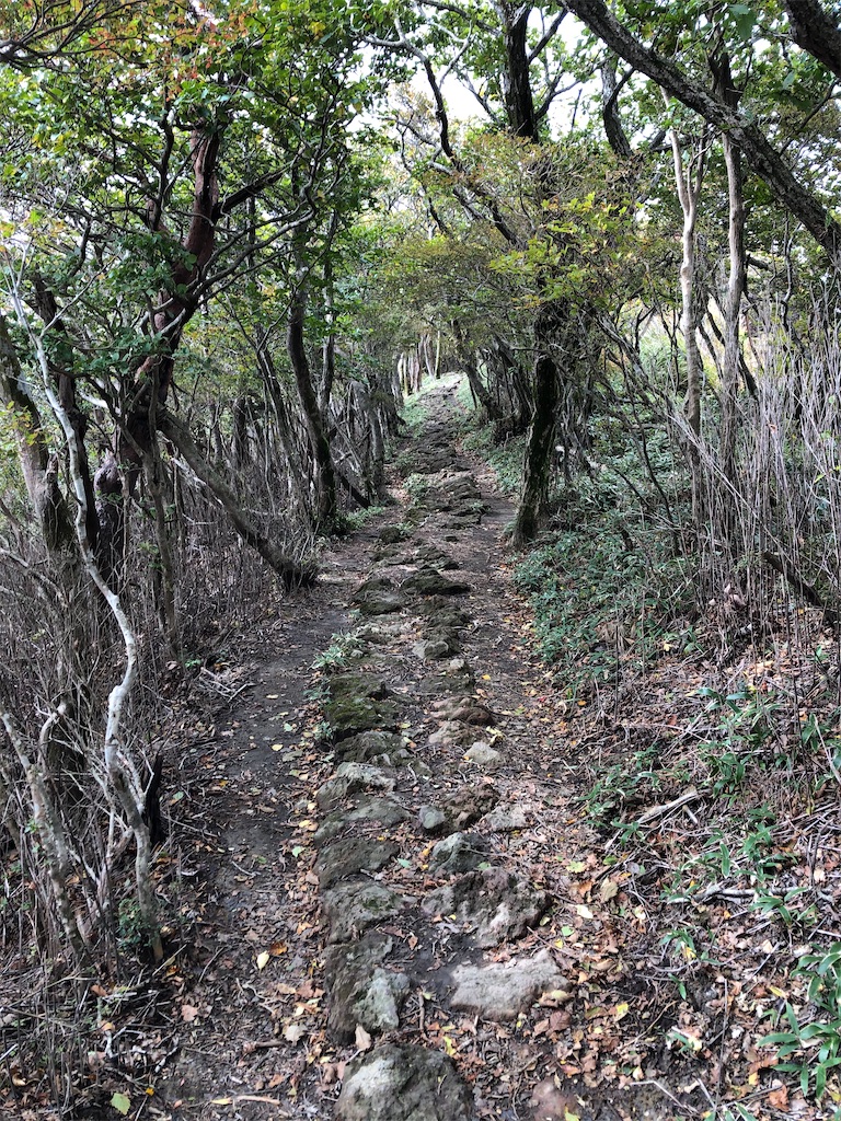 f:id:chitoseclimb:20201027201507j:image